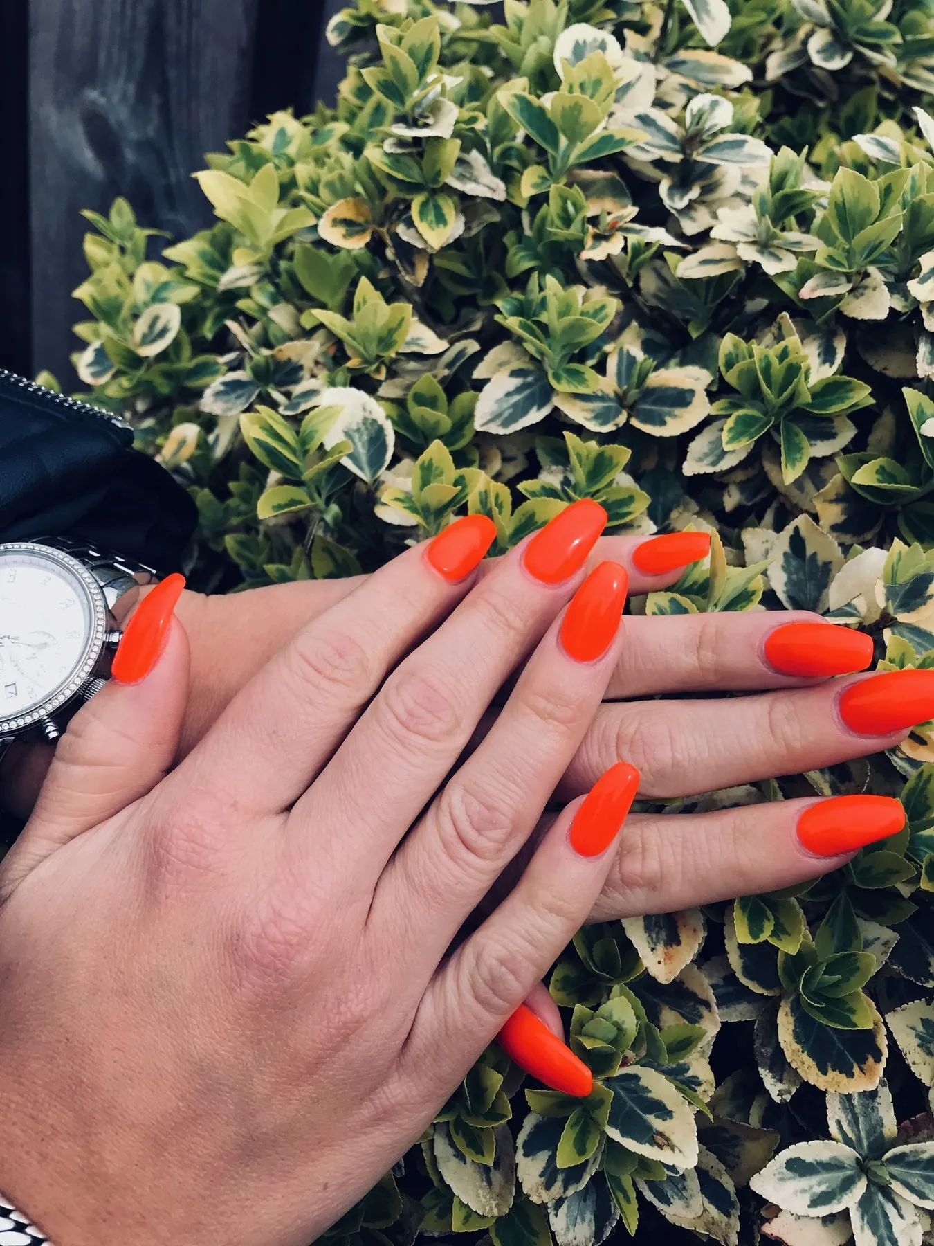 Oranje nagels tegen een groene achtergrond
