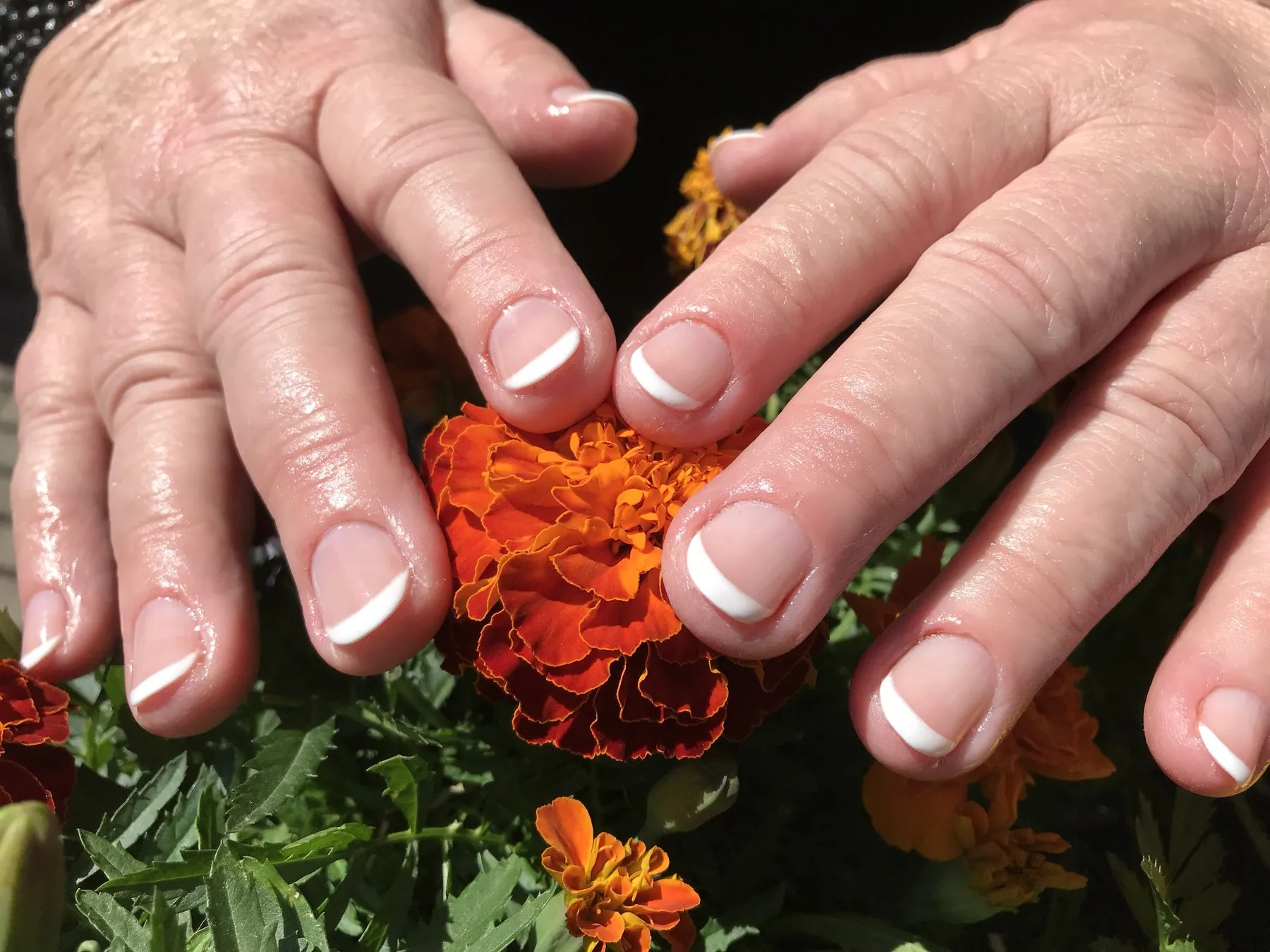 French manicure tussen oranje bloemen